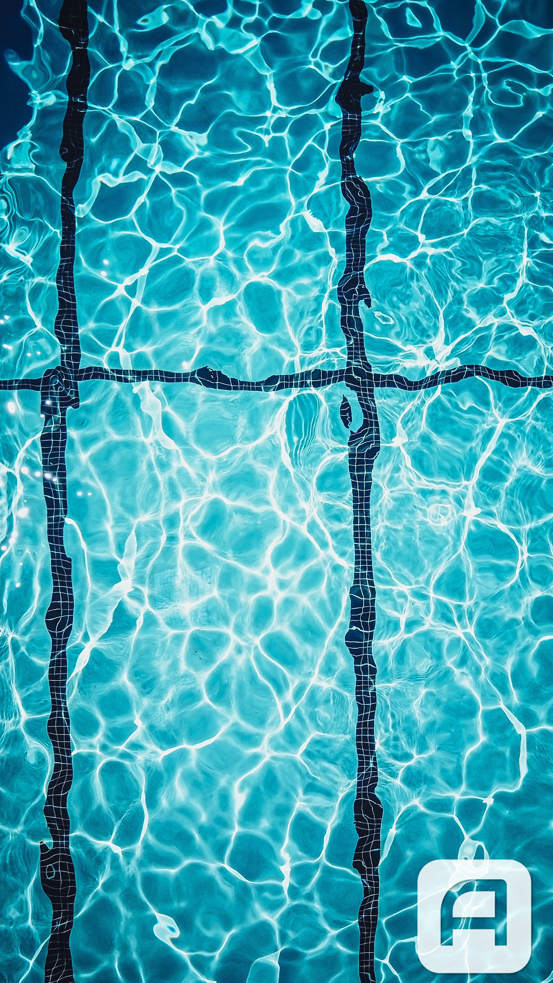 Swimming Pool Black Lines